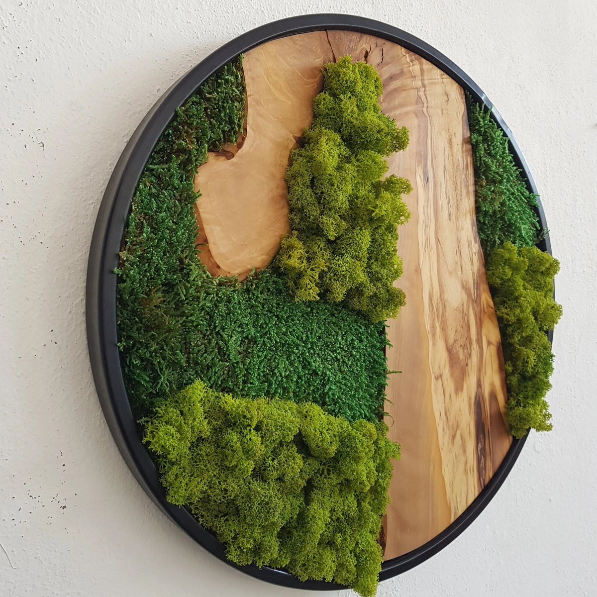 Custom Made Moss and Olive Wood Wall Art