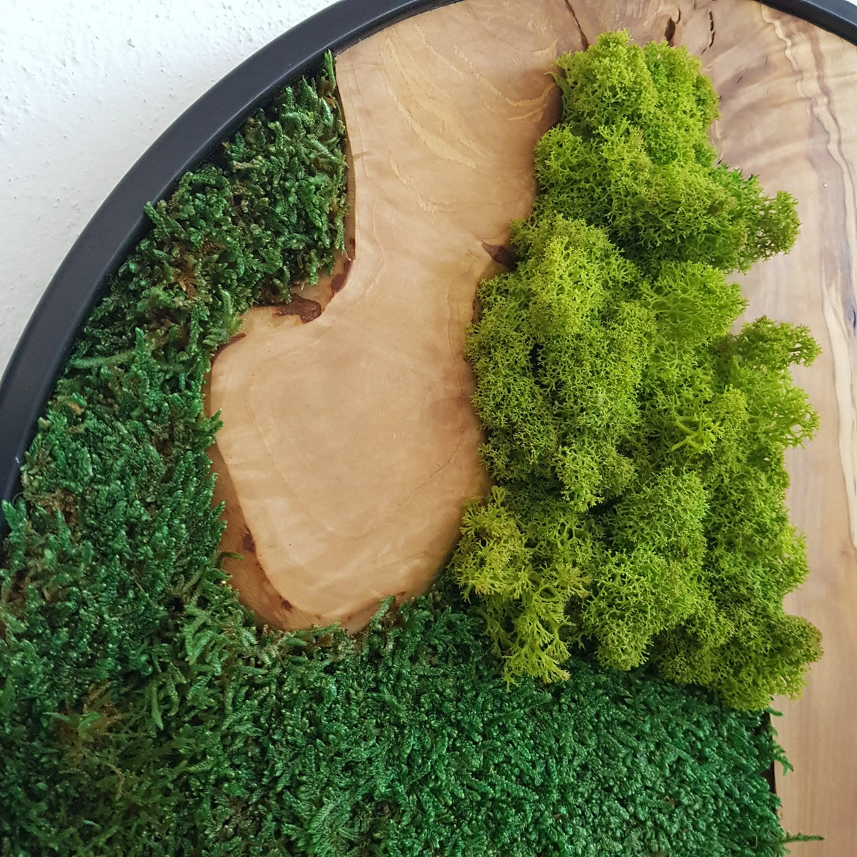 Custom Made Moss and Olive Wood Wall Art