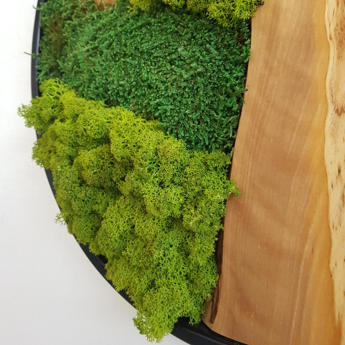 Custom Made Moss and Olive Wood Wall Art