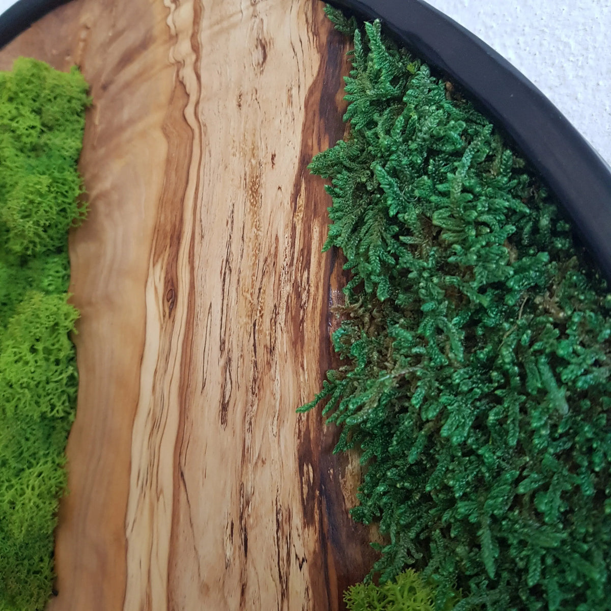 Custom Made Moss and Olive Wood Wall Art