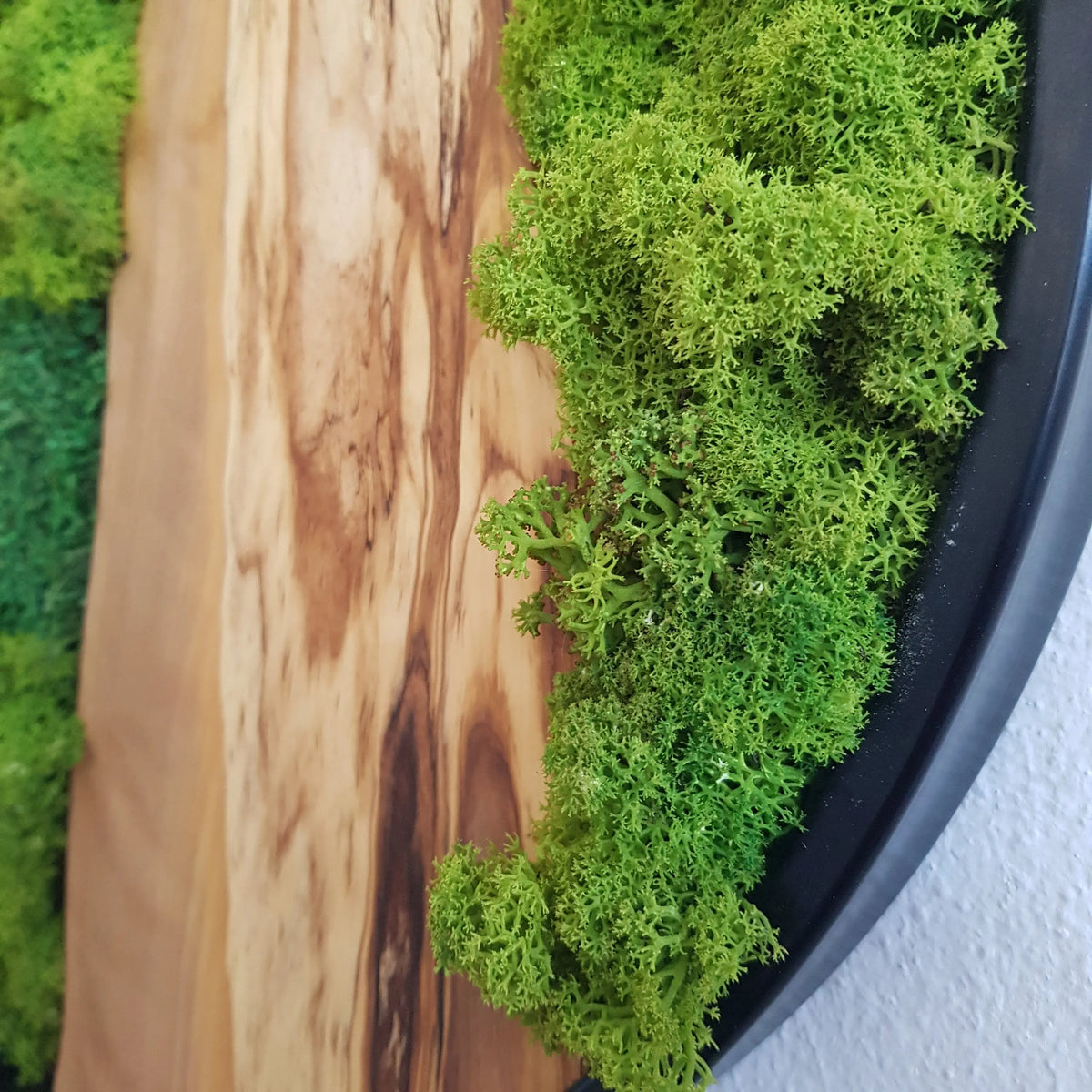 Custom Made Moss and Olive Wood Wall Art