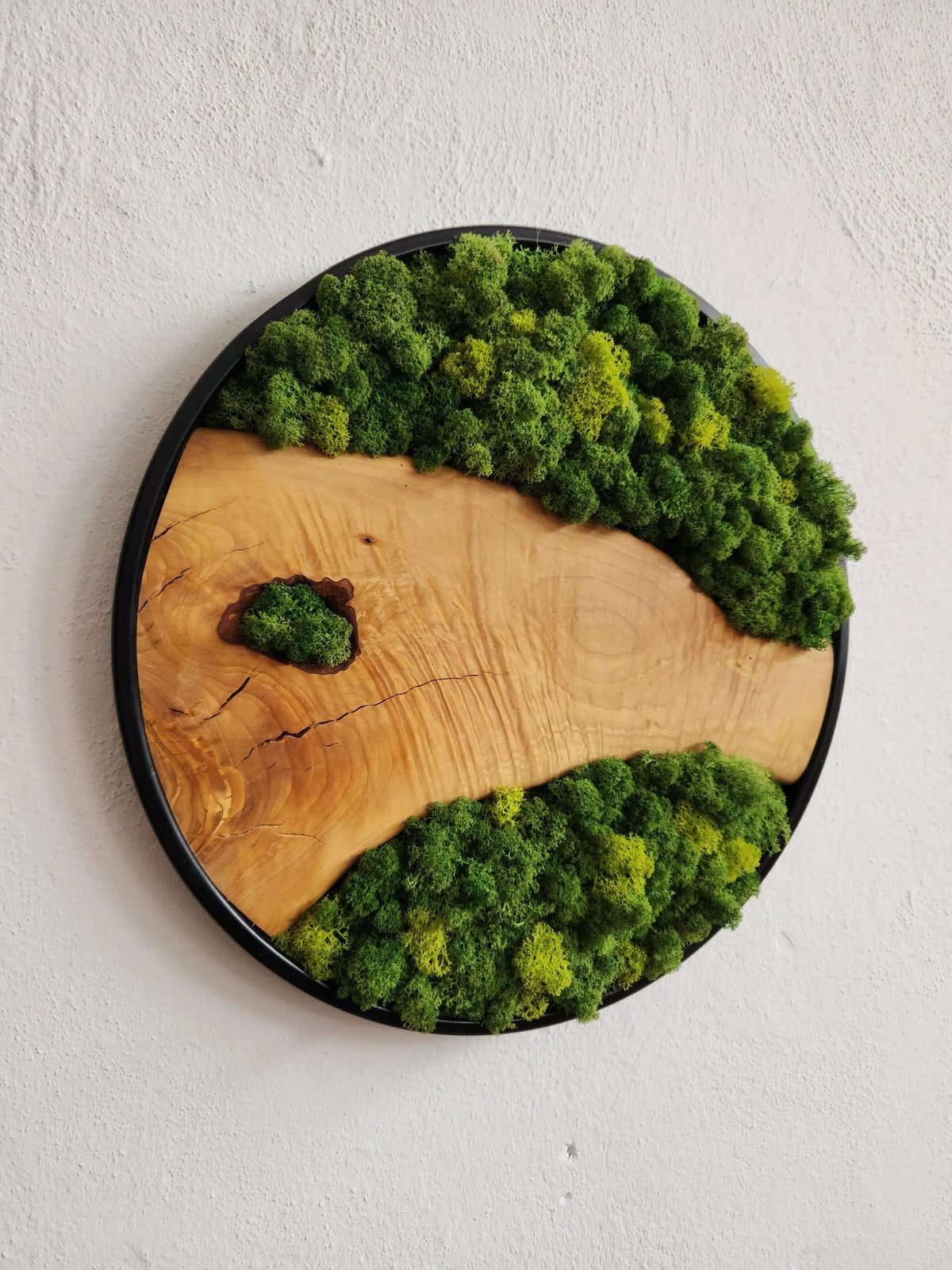 Custom Made Moss and Olive Wood Wall Art