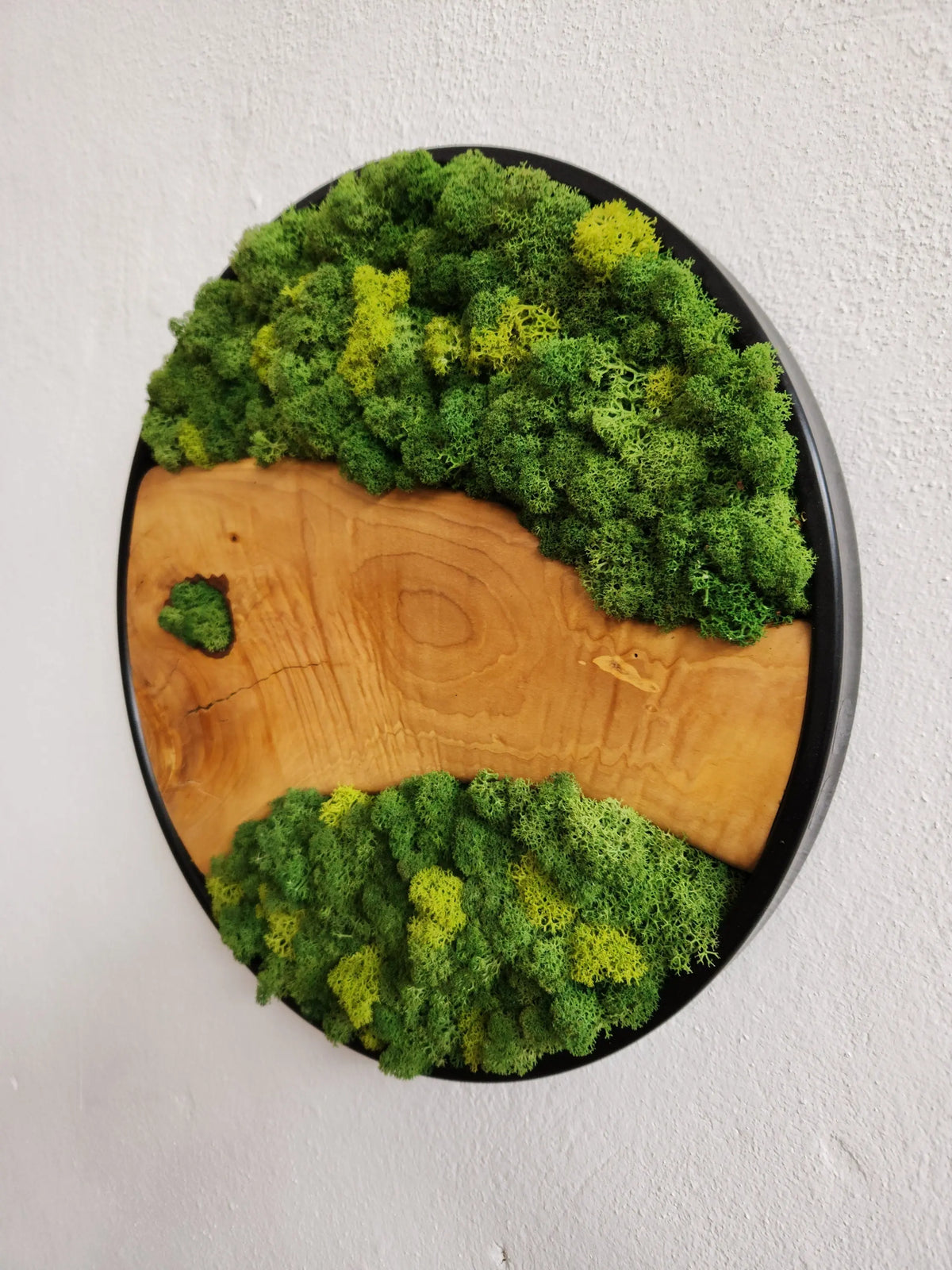 Custom Made Moss and Olive Wood Wall Art