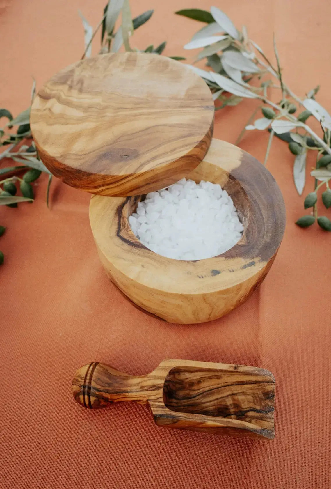 Olive Wood Salt Cellar with Magnetic Lid