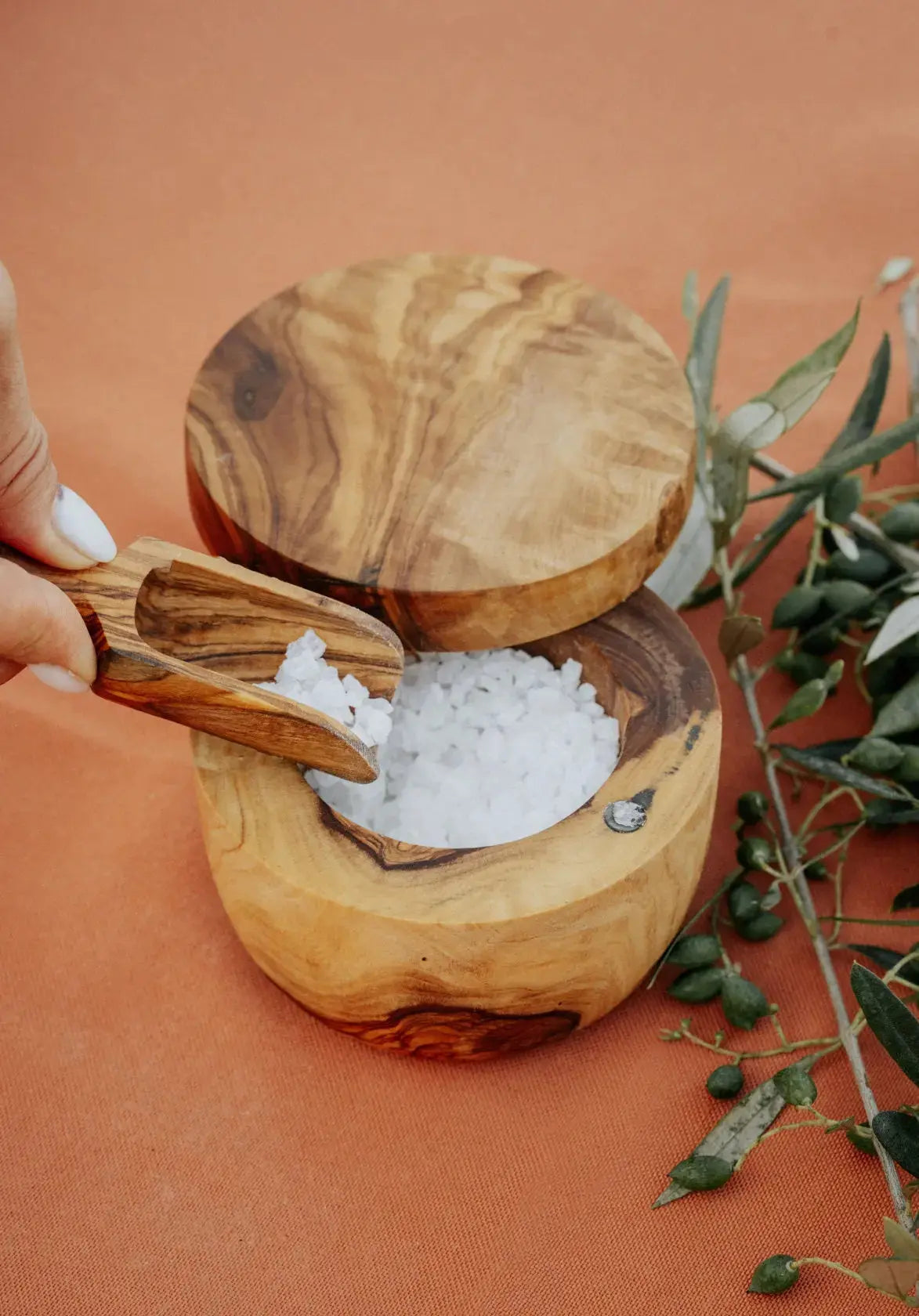 Olive Wood Salt Cellar with Magnetic Lid