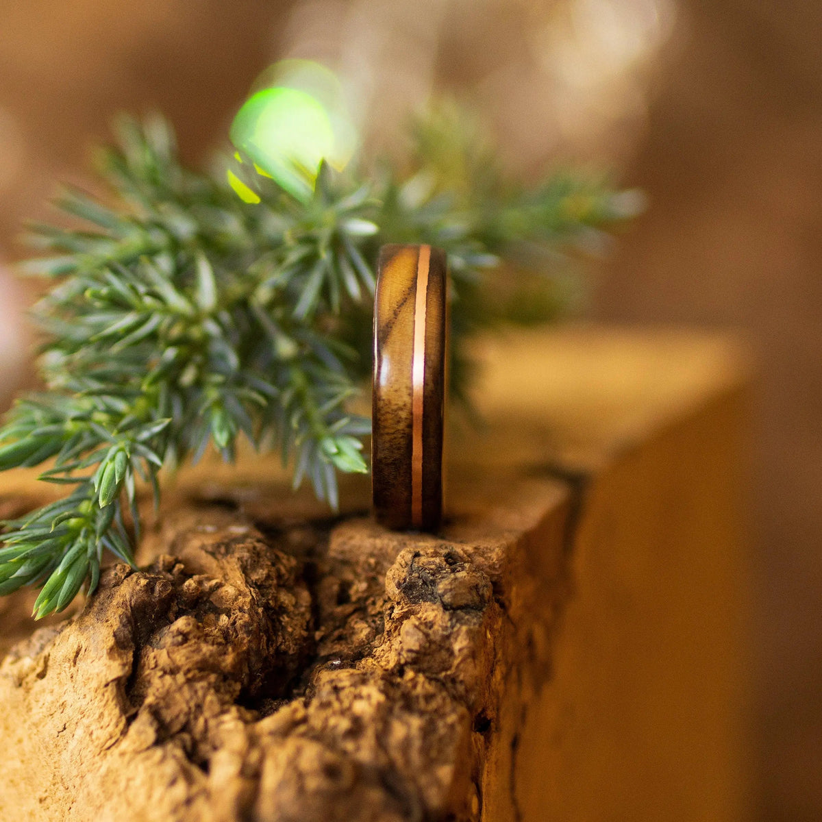 Scorched Ash Wood Ring On Wooden