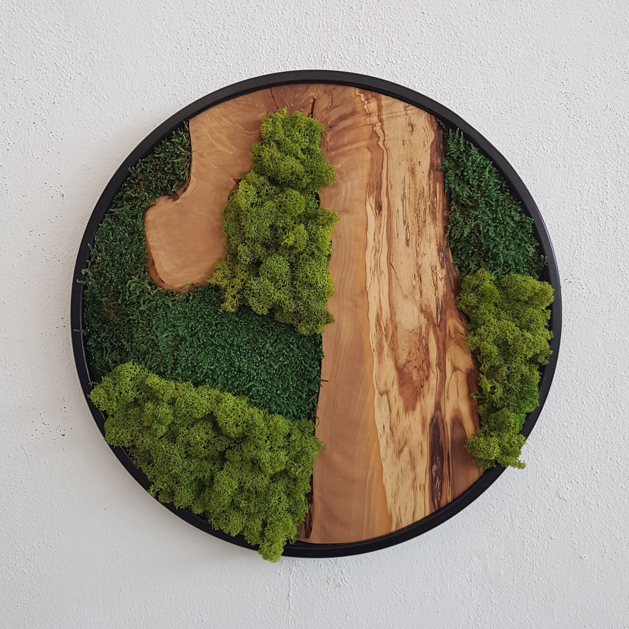 Custom Made Moss and Olive Wood Wall Art On Wooden